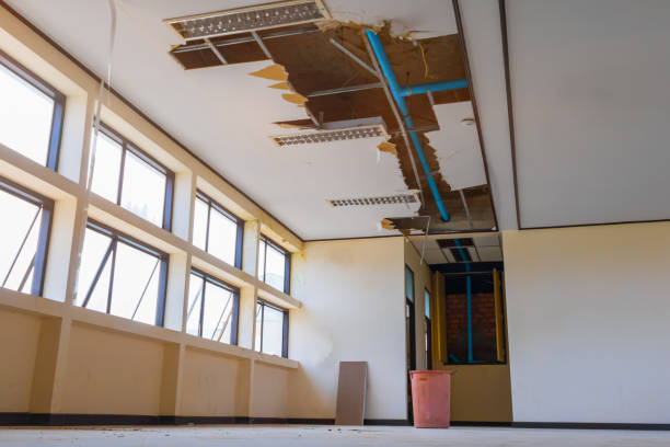 Best Professional water damage repair  in Cleveland, OH