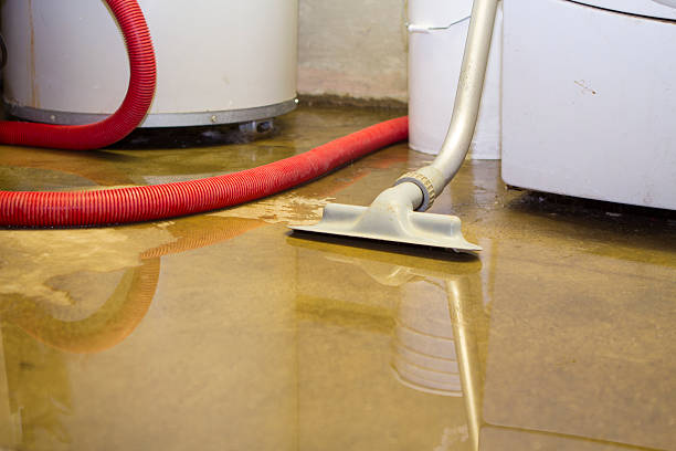 Best Professional water damage repair  in Cleveland, OH